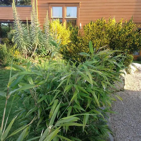 Villa Les D' Onalou Port Blanc
